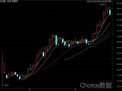 金龍魚股價走勢（金龍魚2019年12月12日收盤報價） 龍魚百科 第5張