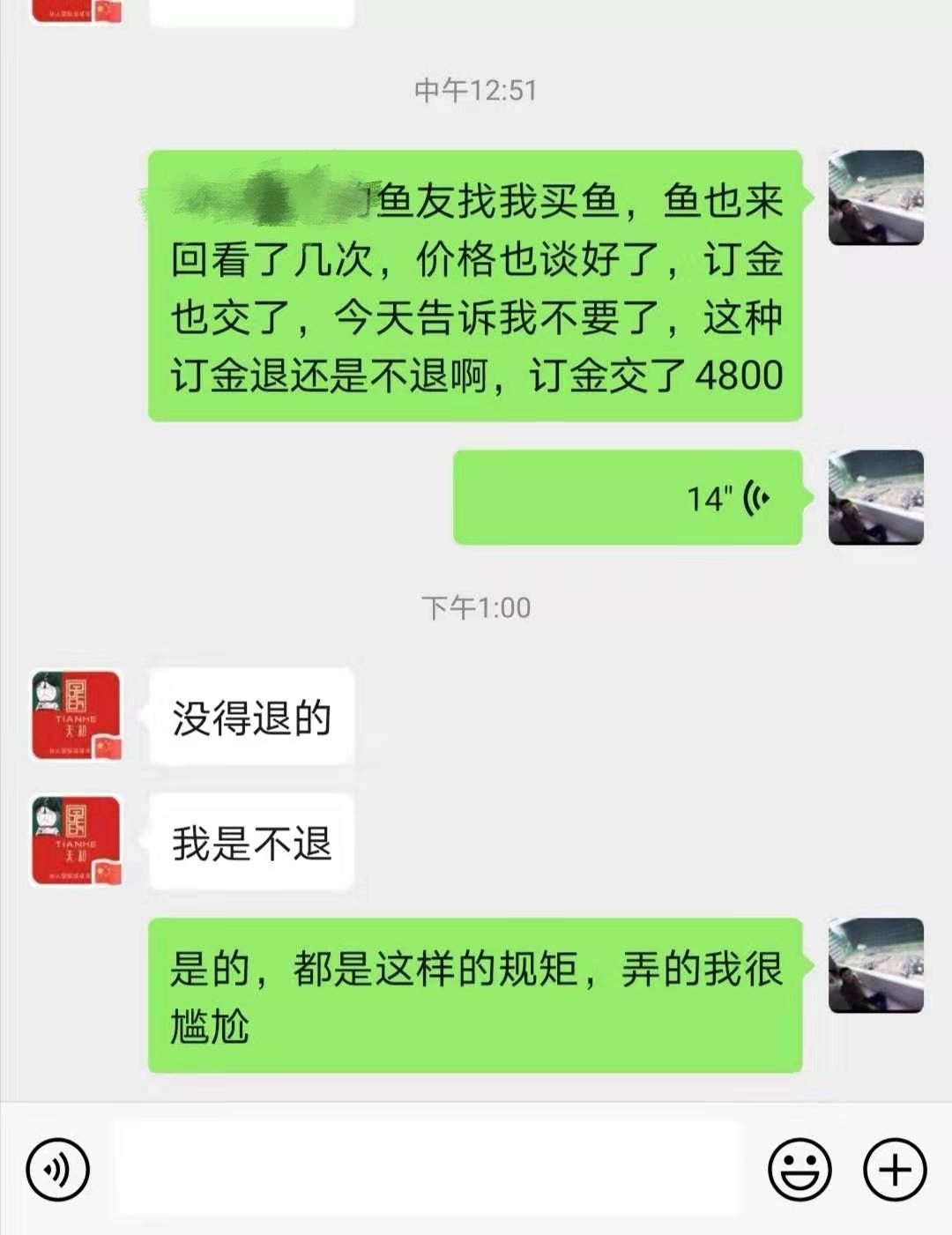 焦作觀賞魚市場天和的規(guī)矩我是領(lǐng)教了魚友入魚看看