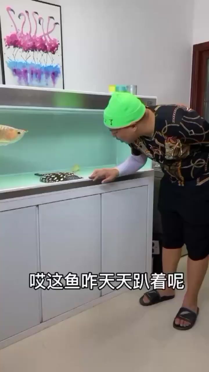 臺(tái)州水族館大夫咱家魚(yú)病了