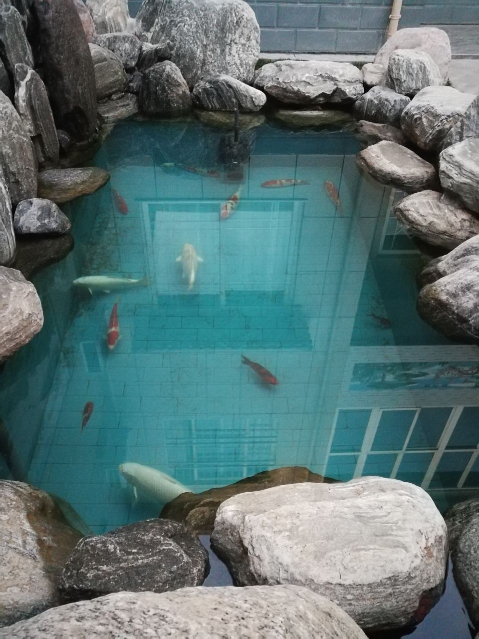 北海水族館錦鯉池完工后的效果還差綠植啦