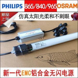 紅龍魚的品種分類（關(guān)于紅龍魚的幾個(gè)問題） 水族問答