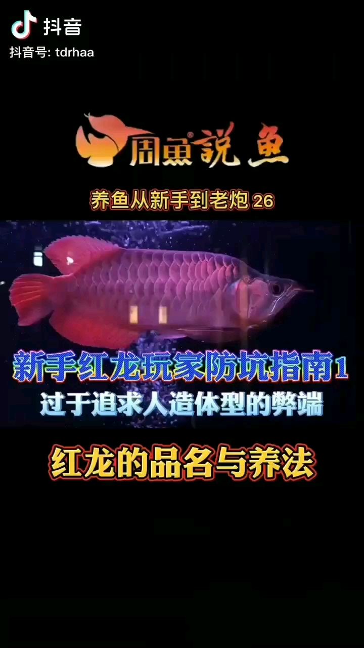 凈說大實話但有些人就是不會聽