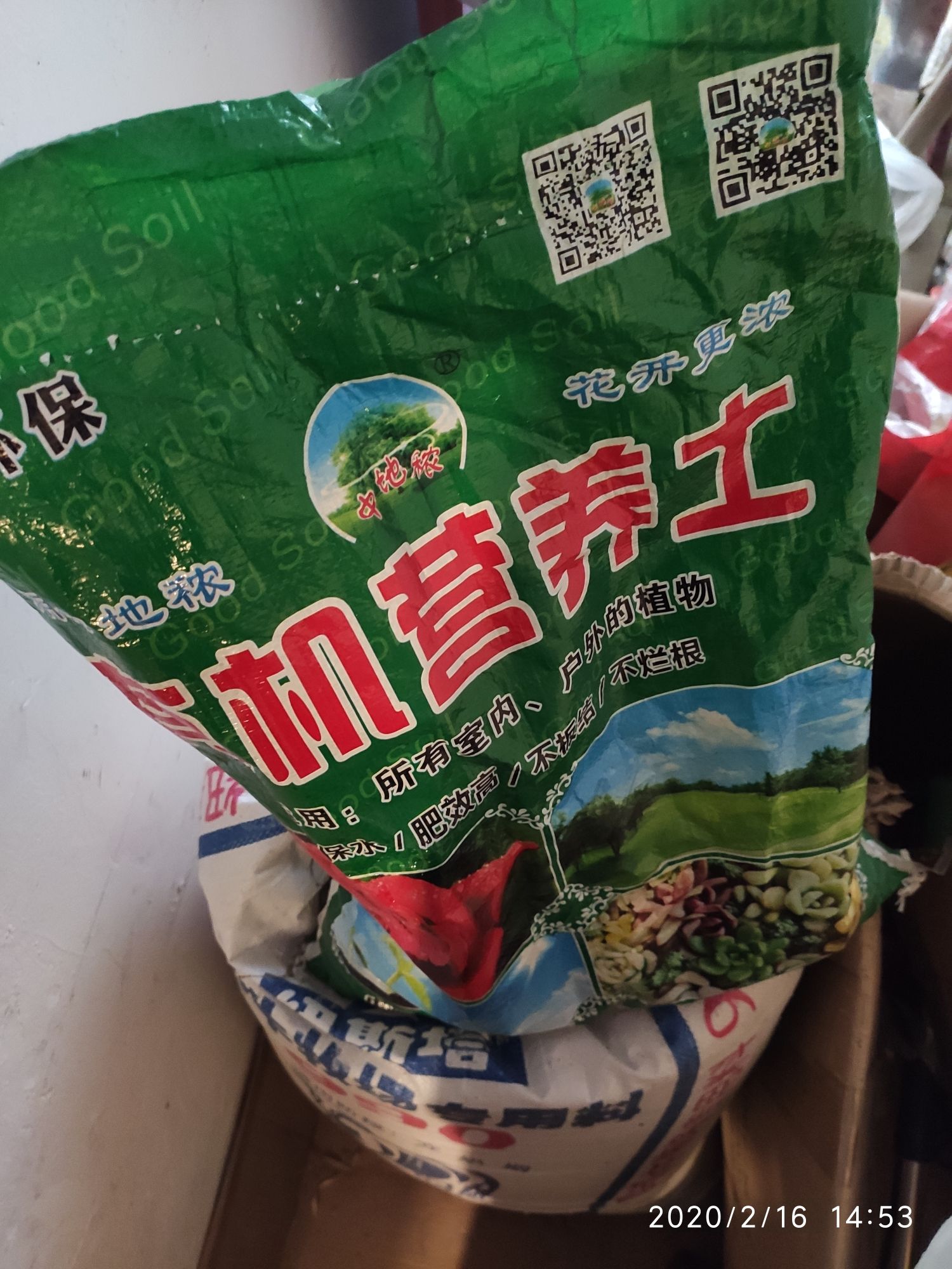 咸寧觀賞魚市場繼續(xù)家里蹲