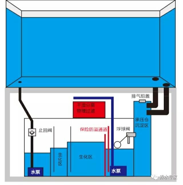 你不知道的無溢流魚缸優(yōu)缺點 其它水族用具設(shè)備