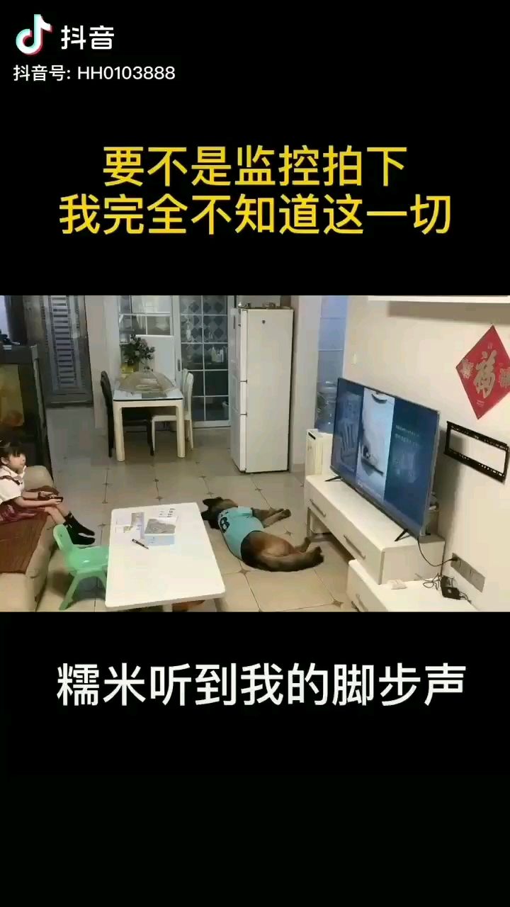 臨潼觀賞魚市場這個守護者他是真靠譜