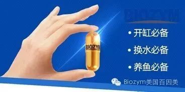 了解硝化細(xì)菌的誤區(qū)嗎？ 硝化細(xì)菌 第2張