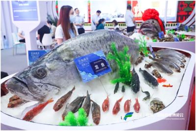 濟(jì)南龍魚展會(huì)（濟(jì)南龍魚展會(huì)周邊住宿推薦） 龍魚百科 第4張