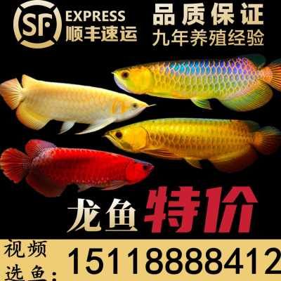 2018第六屆全國國際水族用品展覽會