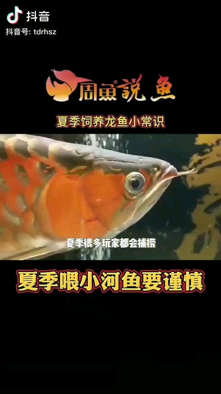 看長知識