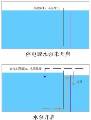 底濾魚缸溢流圖解文章圖片均來源網(wǎng)絡(luò) 祥龍魚場品牌產(chǎn)品 第8張