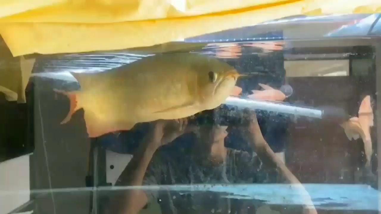 長春水族館坐標(biāo)天津喜歡來