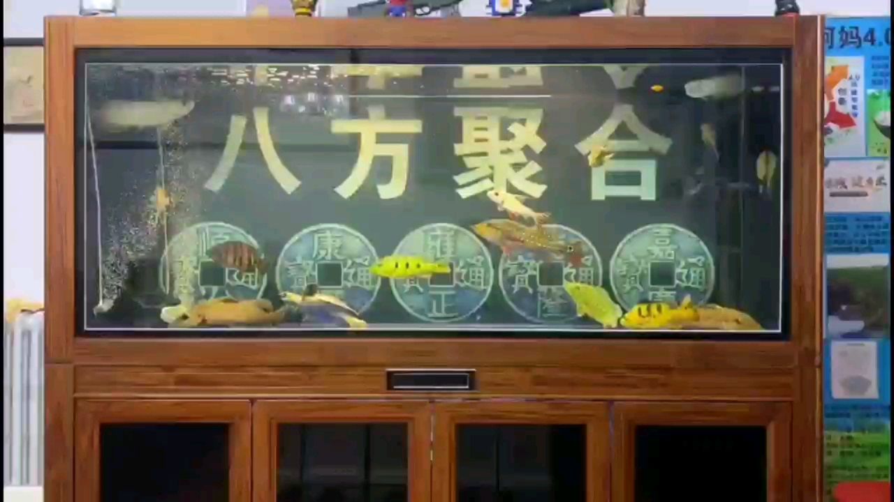 修身養(yǎng)魚