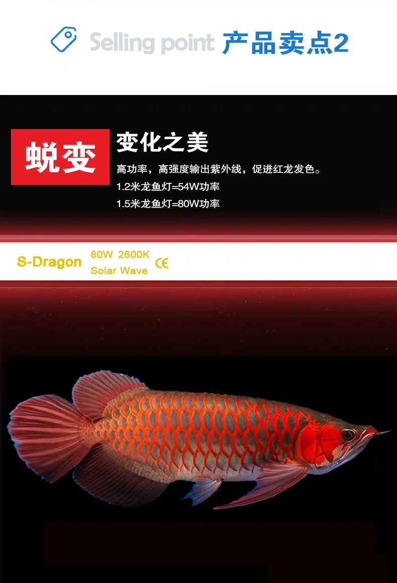 57萬和興龍魚——?jiǎng)澦? title=