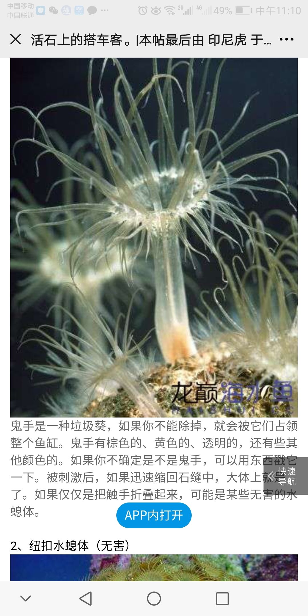 博爾塔拉蒙古自治州水族館水螅