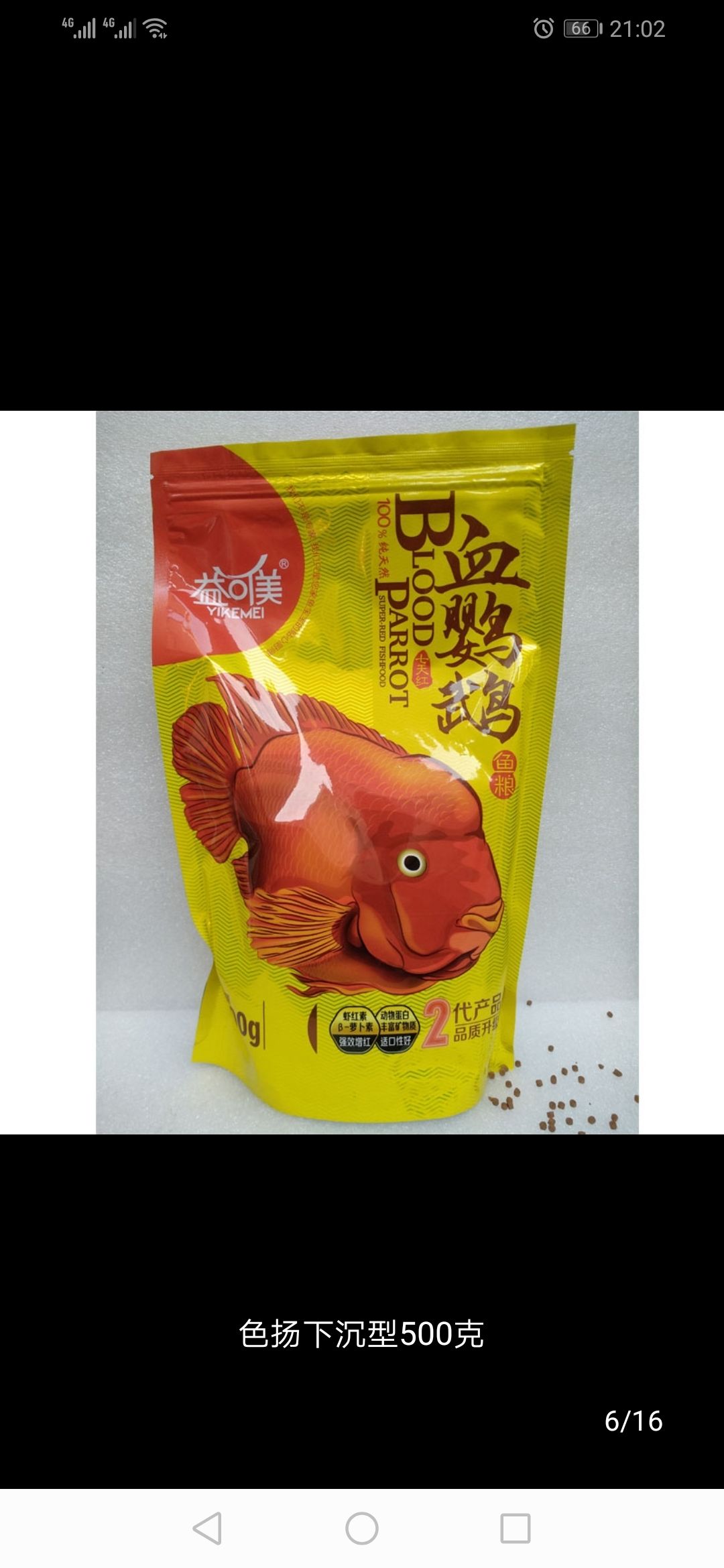 如何選擇鸚鵡魚飼料 鸚鵡魚 第1張