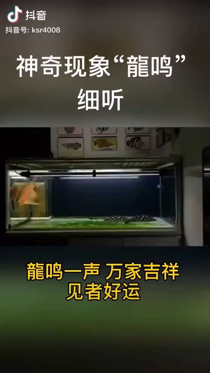 滁州水族館真的有龍鳴嗎？