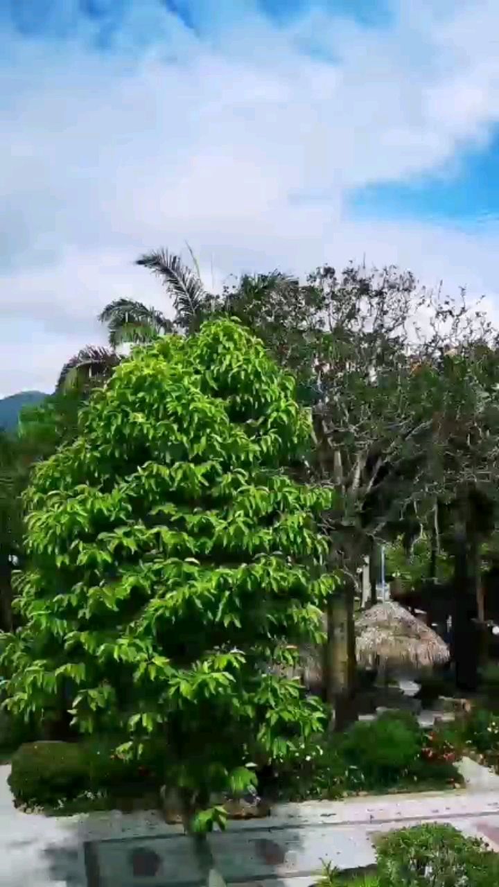 烏海水族館郊外溜溜