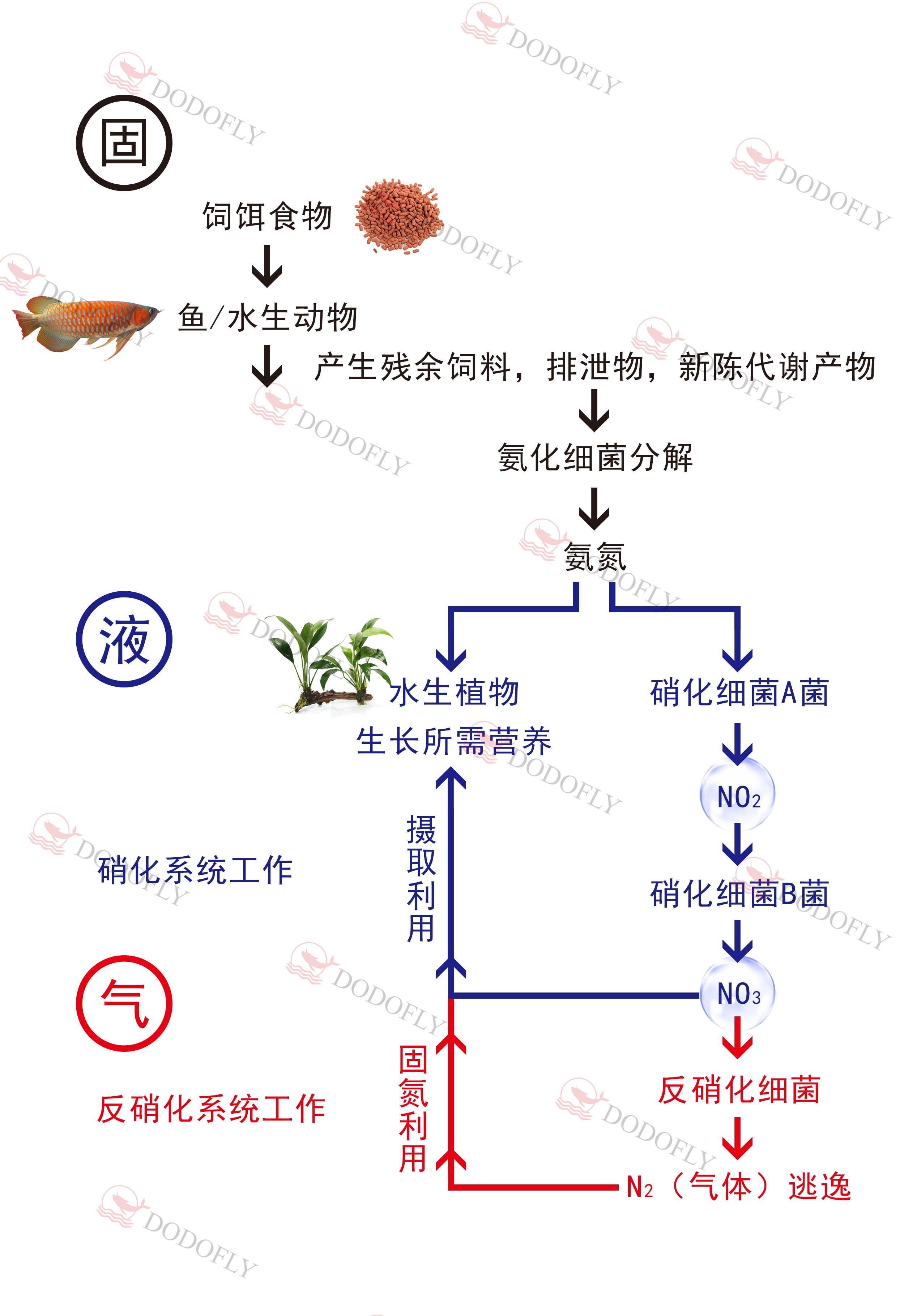 開(kāi)缸不慌—D先生出品