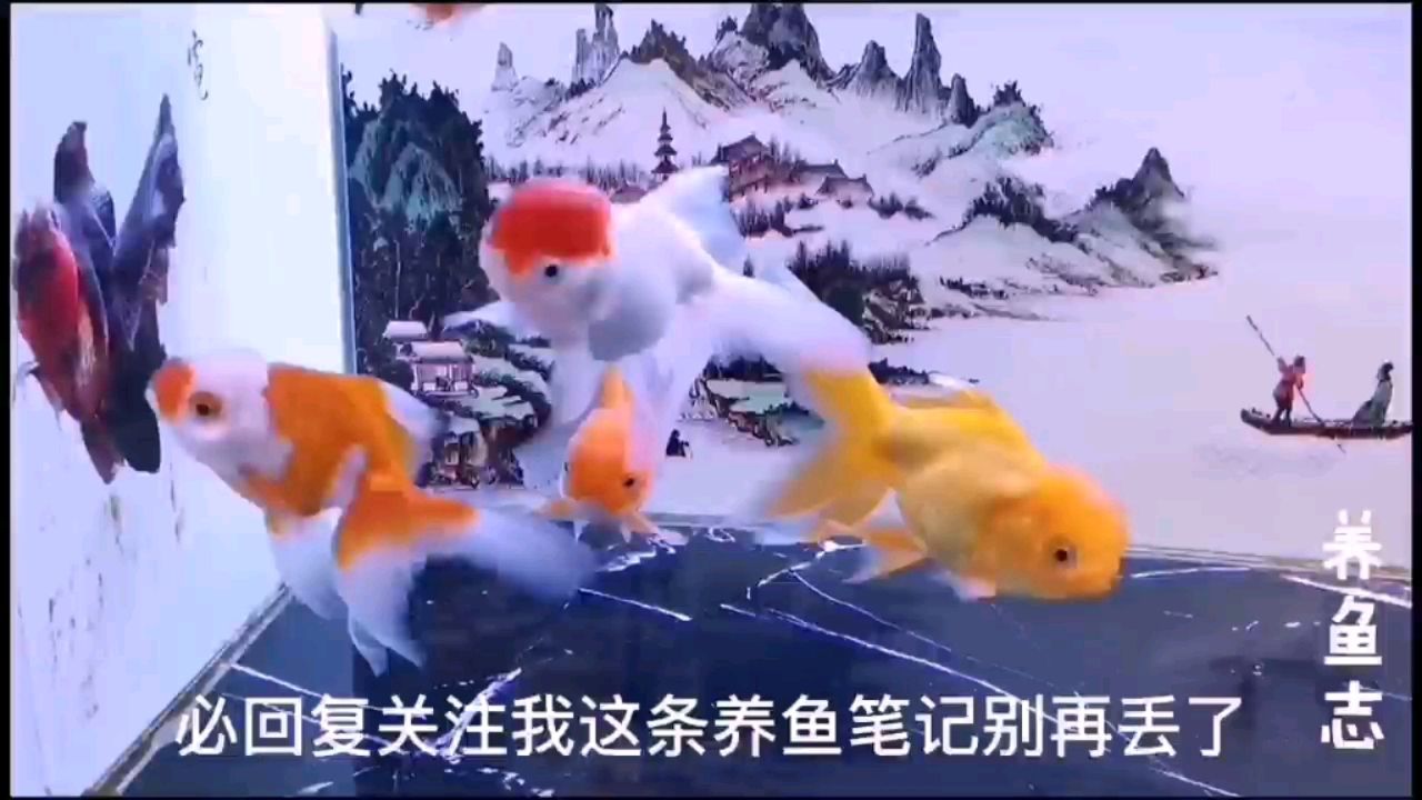 如何判斷魚(yú)缸的水質(zhì)