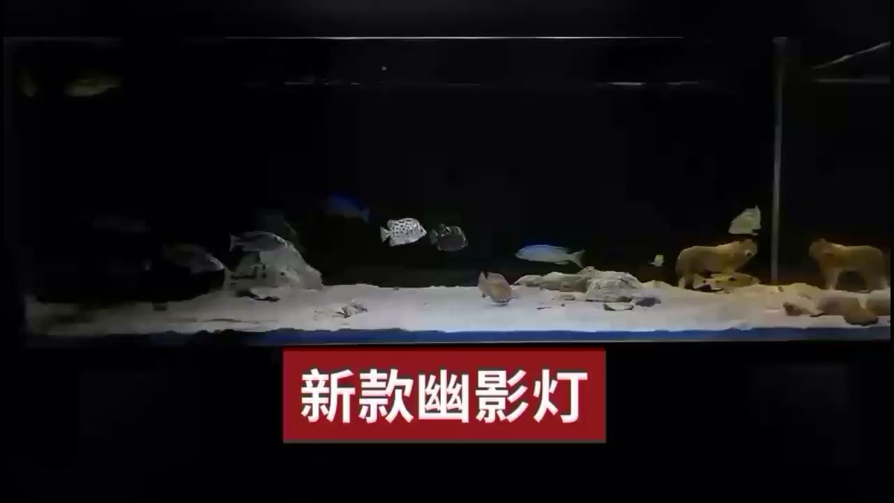 三湖的美