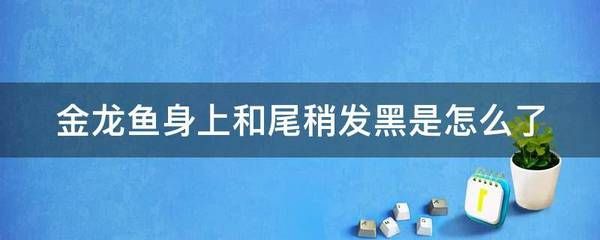 金龍魚發(fā)黑的原因和處理措施（金龍魚發(fā)黑怎么辦） 龍魚百科 第2張