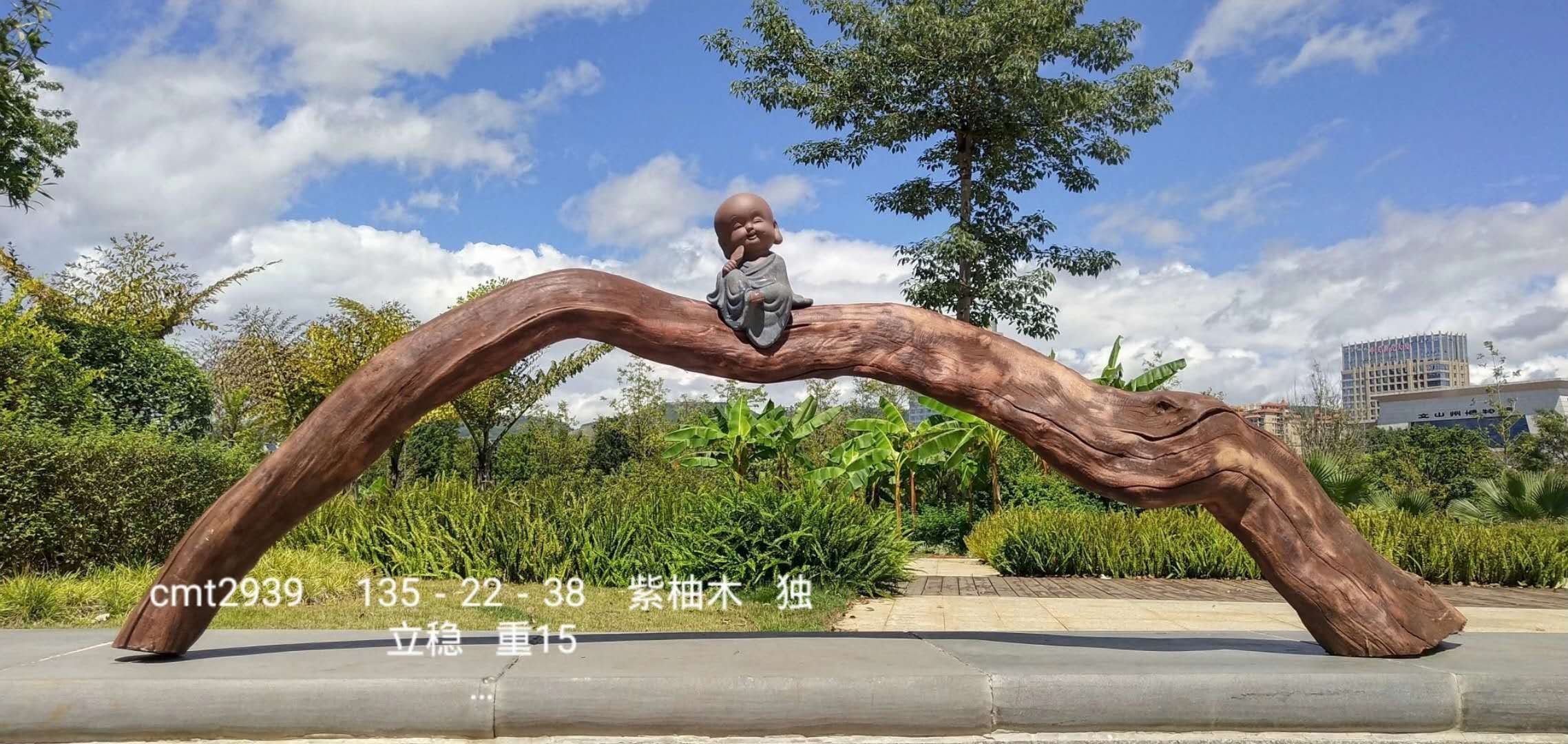 白銀水族館一看沉木即將開啟