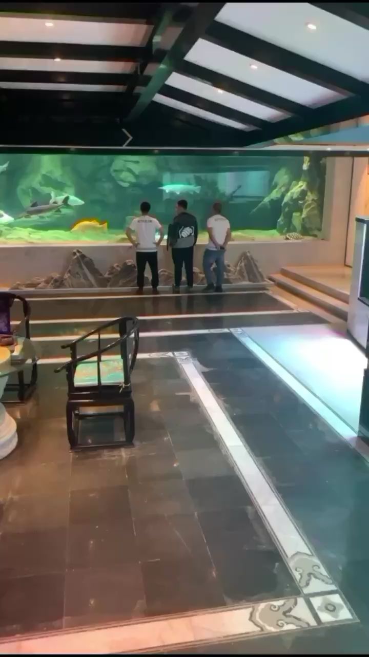 巴音郭楞蒙古自治州水族館京城第一巨缸 羽毛刀魚苗