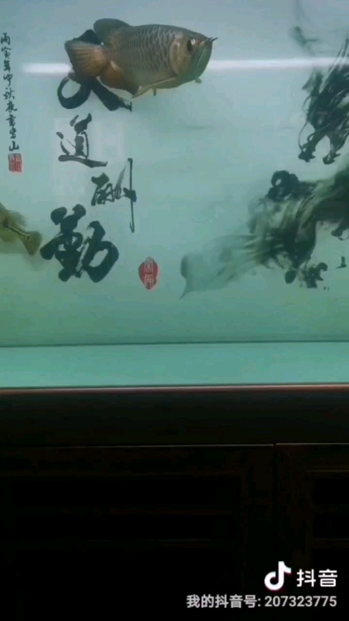 本溪水族館大魚小缸