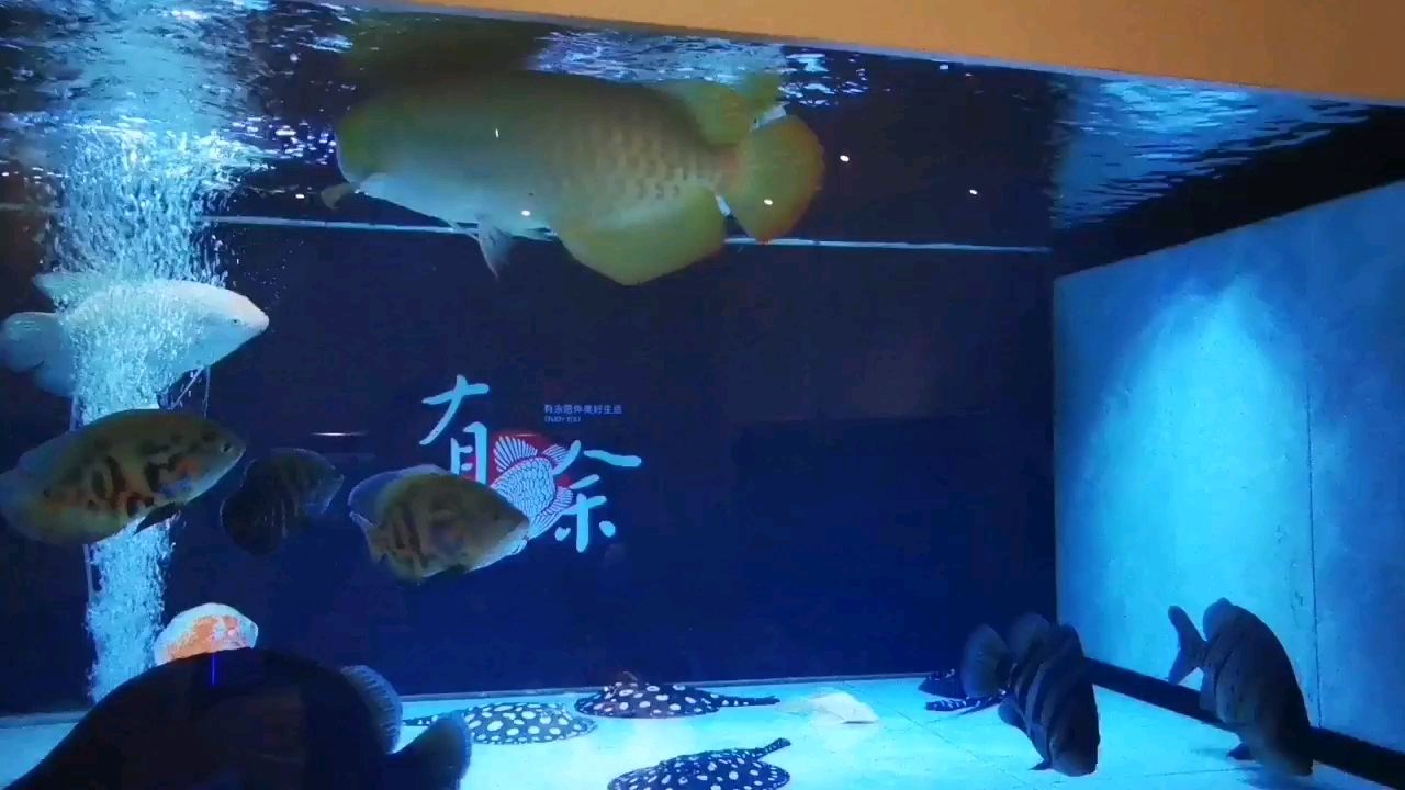 日照水族館事實(shí)證明