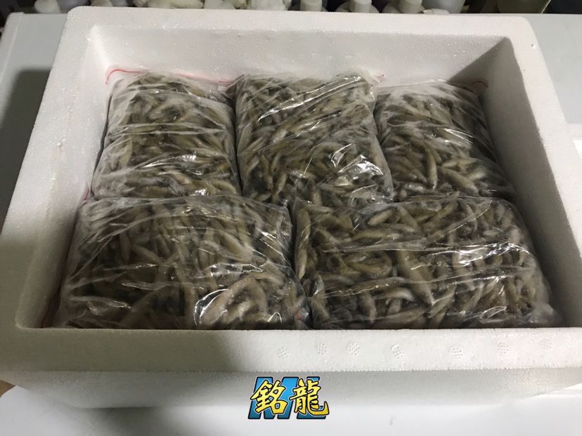 駐馬店觀賞魚市場發(fā)往全國各地的銘龍專用魚糧