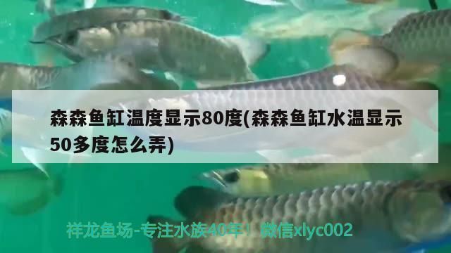 森森魚缸顯示屏溫度顯示80多度（如何校準(zhǔn)魚缸溫度顯示屏魚缸加熱棒故障常見原因） 龍魚百科 第4張