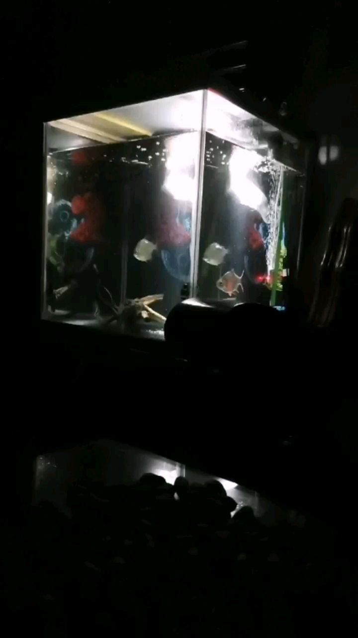 毫州水族館凌晨開夜燈拍的