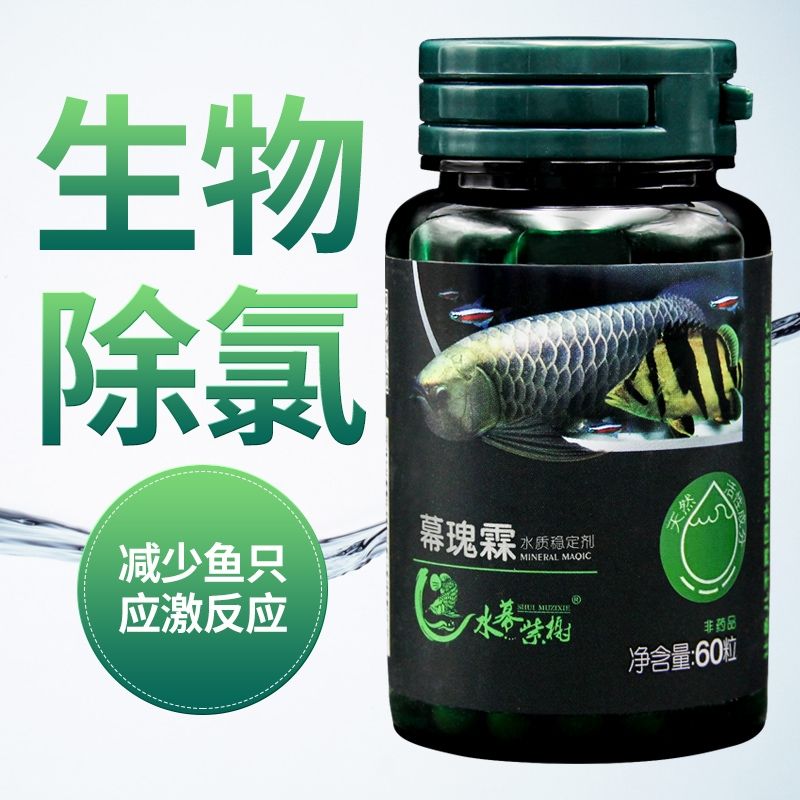 一粒雙重功效 銀古魚苗 第2張