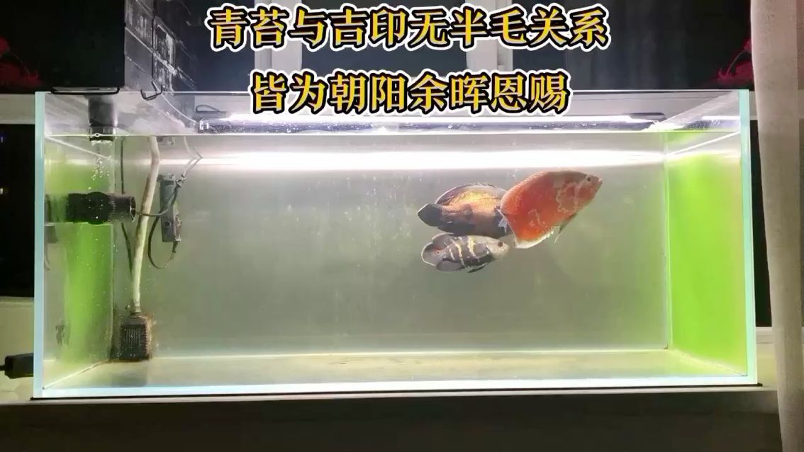 長沙水族館感謝丈母娘