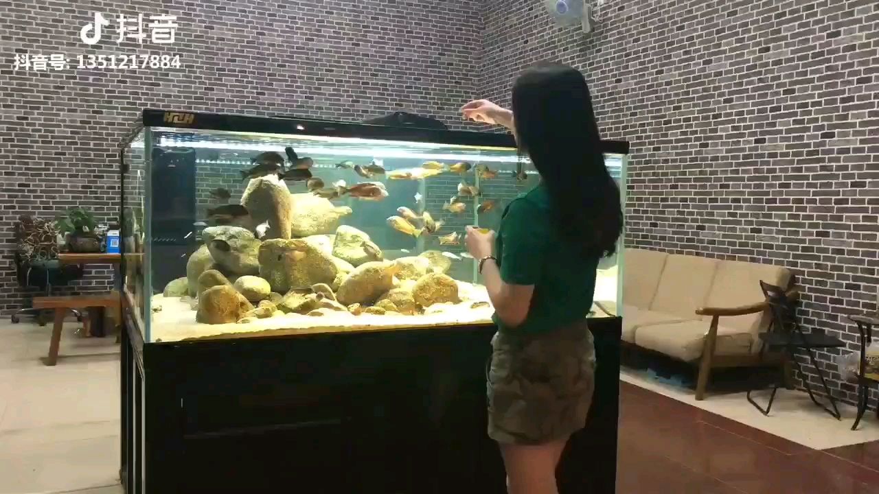 承德水族館美女喂魚