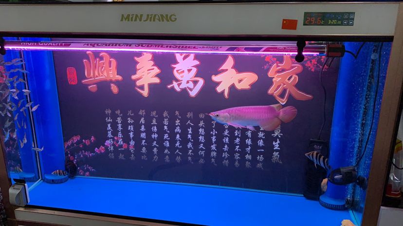 為啥養(yǎng)魚要搞兩邊側(cè)燈