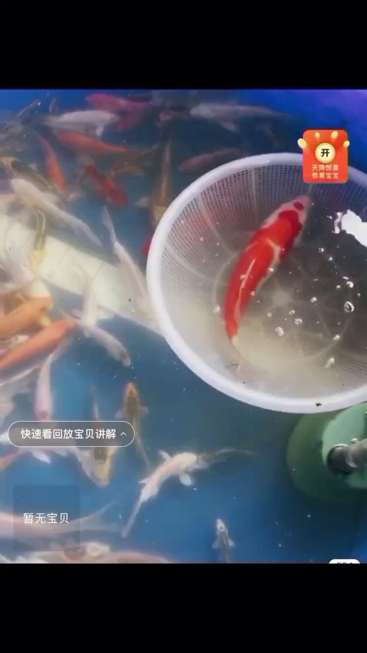 買魚了 除藻劑 第1張