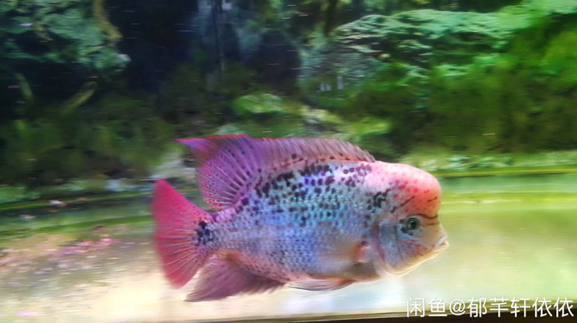 湘潭水族館有大神知道是為什么嗎？