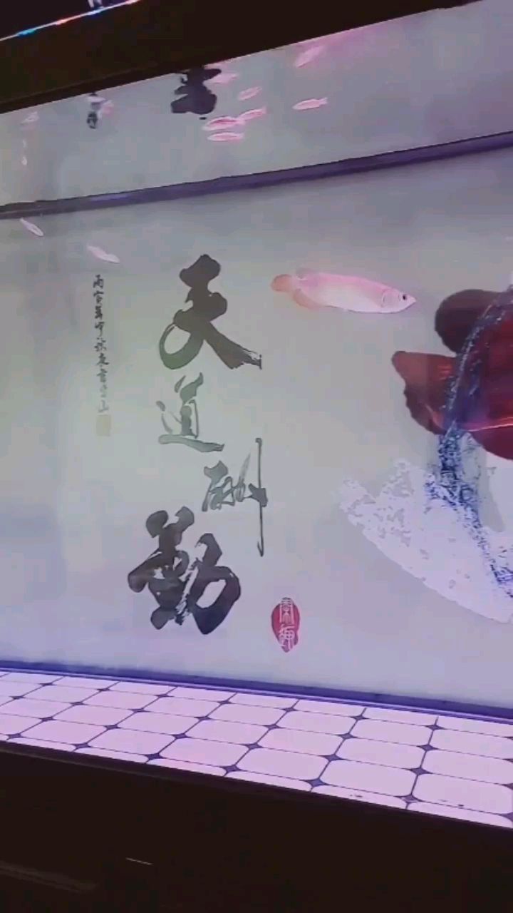 幫忙看看是什么品種