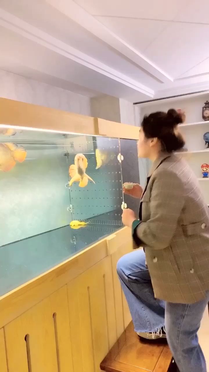 十堰水族館人不吃也要按時(shí)喂魚