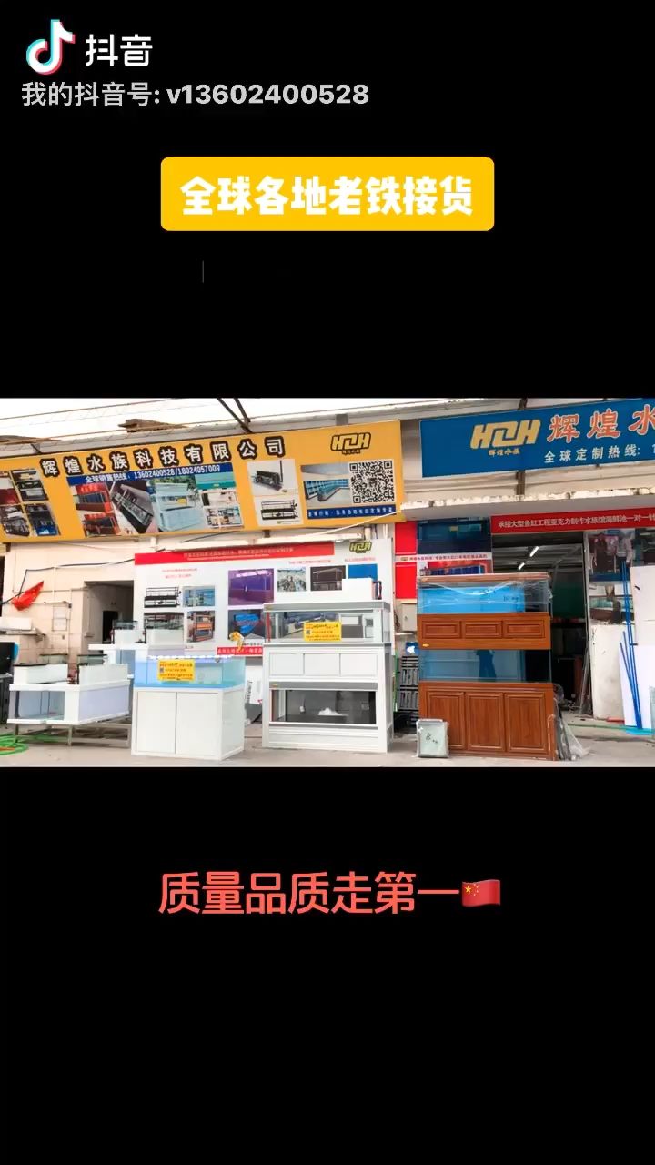 錦州觀賞魚市場(chǎng)全球各地老鐵接貨 觀賞魚市場(chǎng)（混養(yǎng)魚）