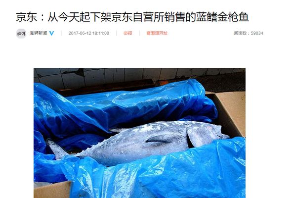 金龍魚下架了嗎京東買不到（關于金龍魚產品在京東的最新情況和相關信息） 龍魚百科 第2張