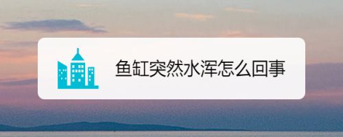 高背金龍魚遺傳基因影響研究（-高背金龍魚的遺傳基因是如何形成的） 水族問答