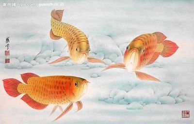 畫金龍魚的畫家叫什么（畫金龍魚的畫家有幾位知名的代表人物） 龍魚百科 第4張