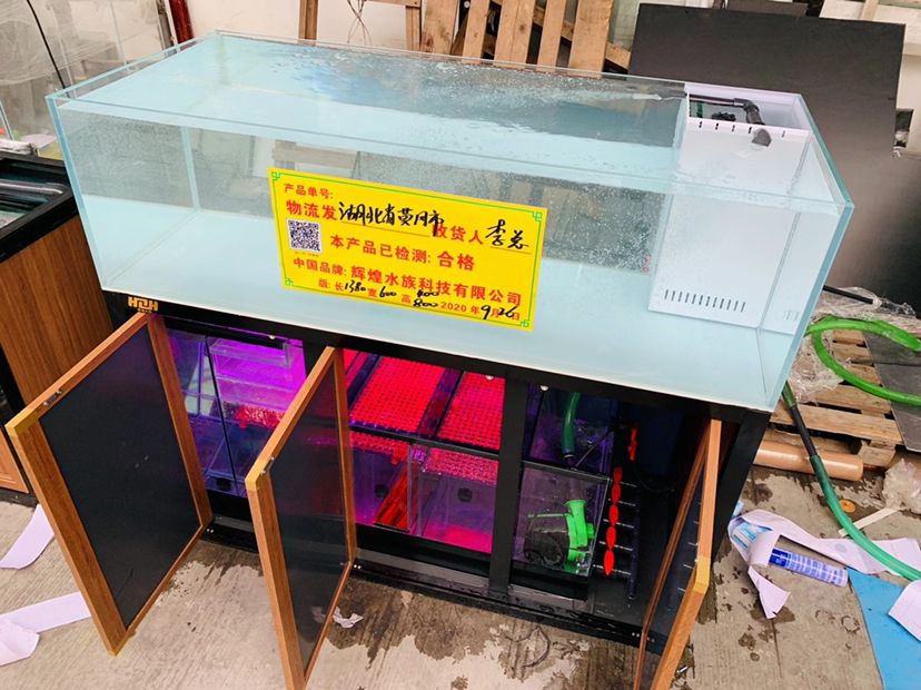 烏魯木齊水族館新?式匠韻風·視覺的極致盛宴 細線銀版魚 第8張