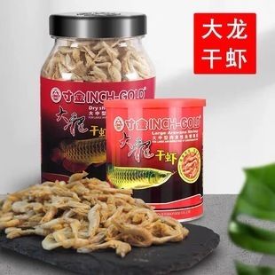 高背金龍魚換水頻率指南（高背金龍魚換水時(shí)需要注意什么？） 水族問答