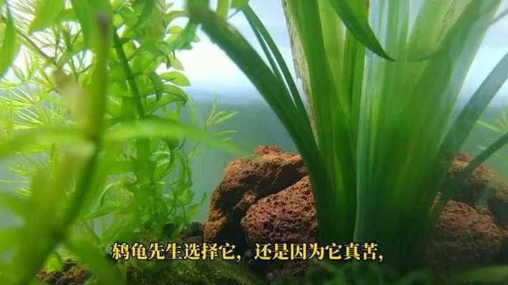 燈架:燈管怎么安裝到燈架上