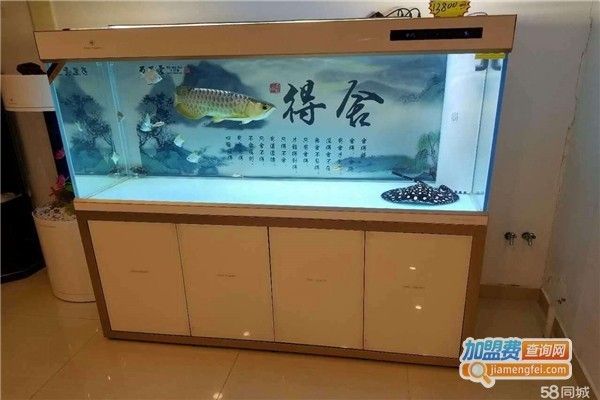 東營魚缸定做:山東東營哪里有賣魚缸的 魚缸百科