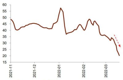 金龍魚一年營業(yè)額（金龍魚2023年營業(yè)額表現(xiàn)如何） 龍魚百科 第5張