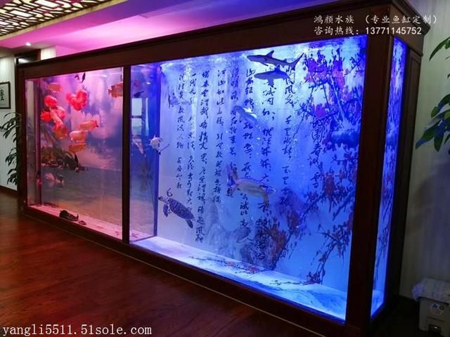 紹興魚缸定做:做一個15米魚缸大概需要花多少錢